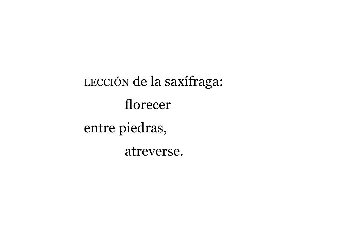 tedeciruelas's tweet photo. Ida Vitale https://t.co/My7UZj3vDW