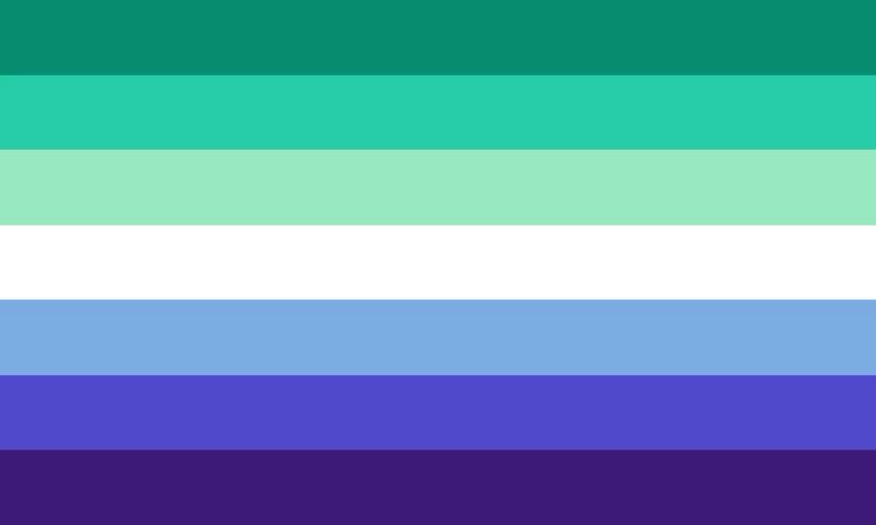 slzzzpalone's tweet photo. went from the bi flag to the gay flag https://t.co/Njry66a2TG