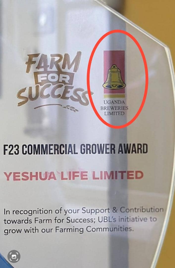 aema_wallace's tweet photo. @Pombelogwee @GabrielBuule What does UBL have to do with food security???
In the original MOU, UBL wasn't anywhere to be seen.

Wheat growing in Karamoja is also being hidden from the natives yet it is a lucrative government project. https://t.co/QyAmrI2dnm