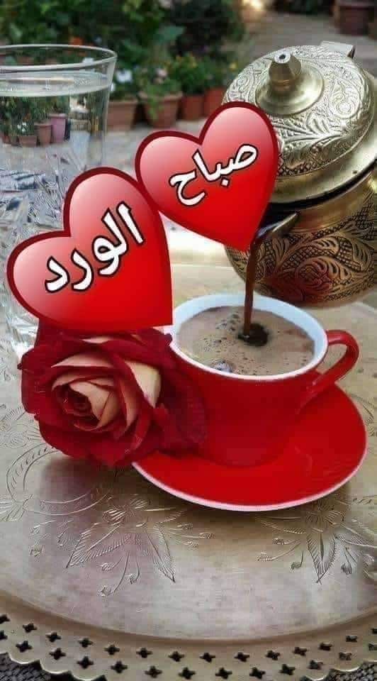 bwbsmh7's tweet photo. @Ola_1Muhammad https://t.co/Hn7ajzjeml