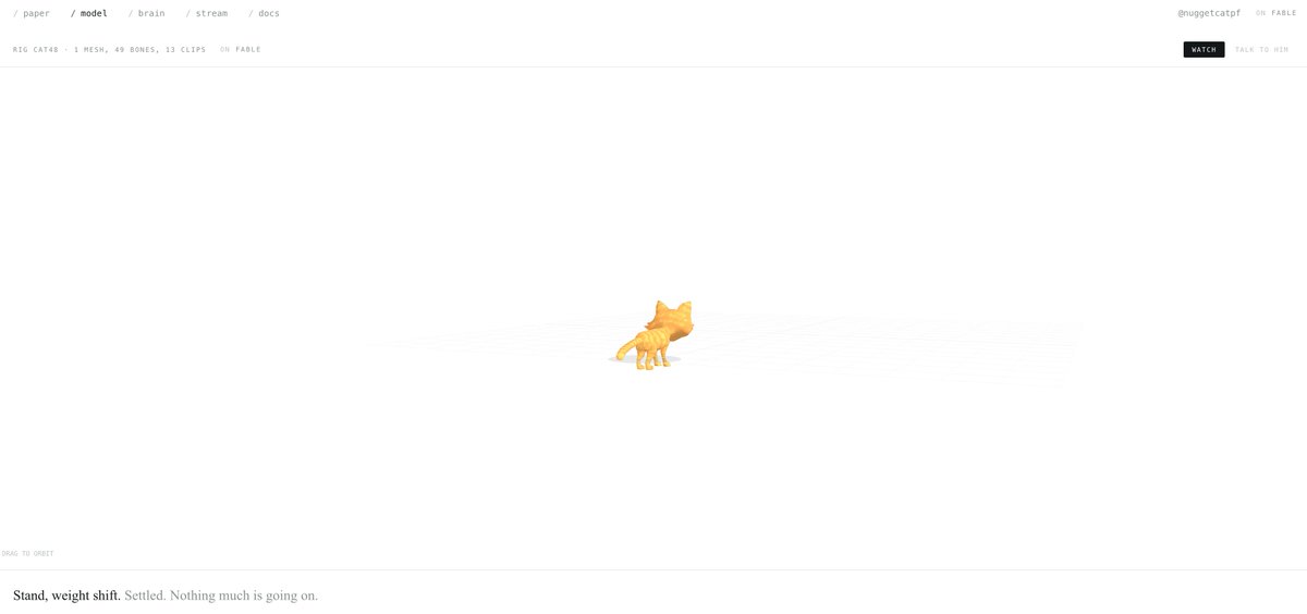 Nugget tweet media