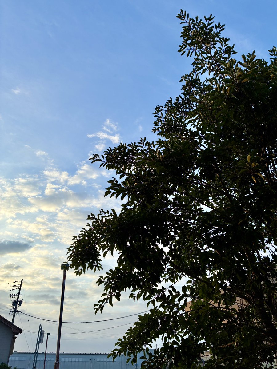 yoho84578's tweet photo. 7月28日(火)☀️☔️⚡️
おはようございます👋🏻

今日の朝は子供の頃、📻🧑🏻‍🩰✨ラジオ体操をしてたのを思い出すくらいの気温ですね😊
#いまそら https://t.co/ZkIbGLYMLB