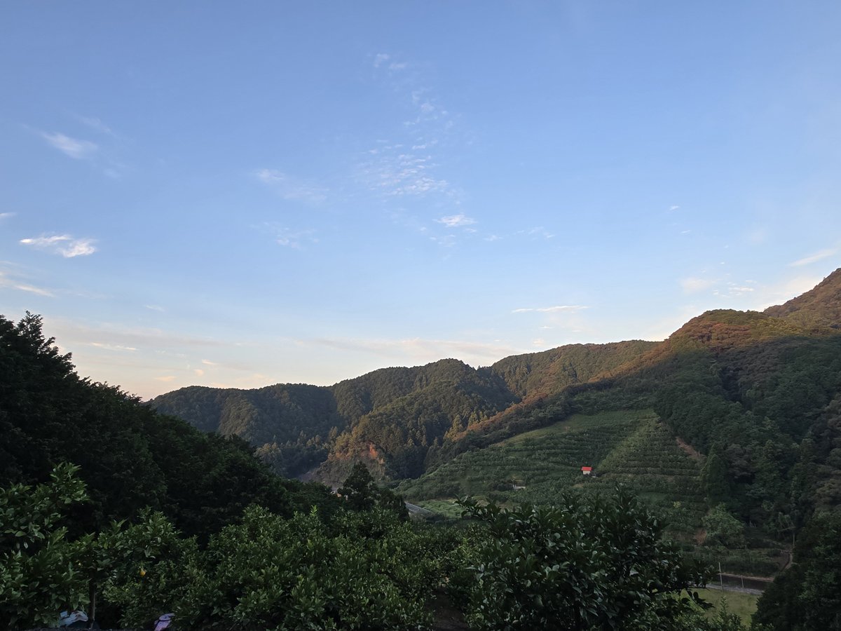 Shiru_eo4by's tweet photo. (🍤｡･･)ﾉぉはょぅ♪
わざわざ早朝に山行って収録してるしるです
絶景かなー絶景かなー https://t.co/m4KFrz5qkZ