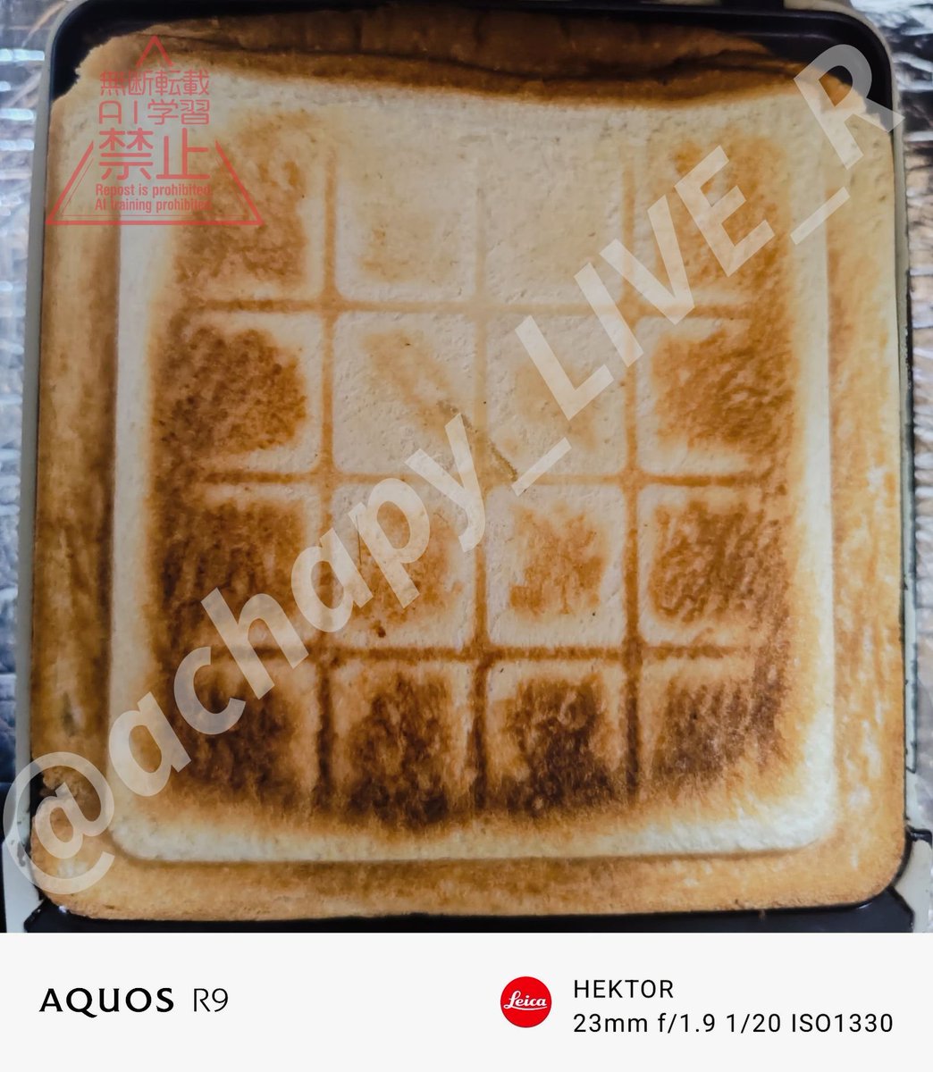 achapy_LIVE_R's tweet photo. おはようございます。

今朝の #朝食 ホットサンド  も、 チーズ と ロースハム 。

当分卵はリスク回避で使わない。

今日もご安全にっ！！。
#asa933
#obsniji https://t.co/E6tg65ysri