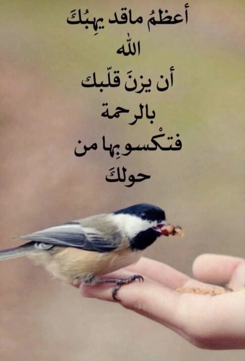 alim68438600's tweet photo. هل تستطيع  ألمراه انها تغير حياة شاعر

تغير حياة حاكم موت بس شاعر https://t.co/2R6JWYJrWE