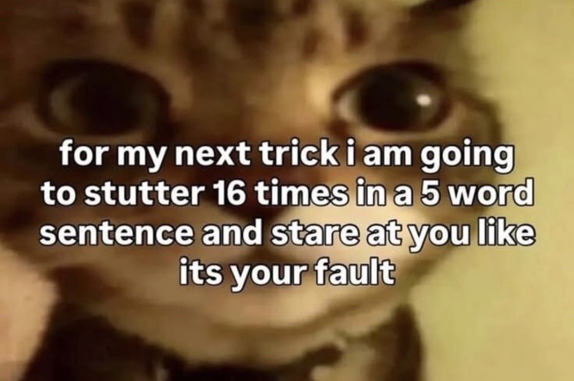 literallymecats's tweet photo. https://t.co/15g6tSx6Mq