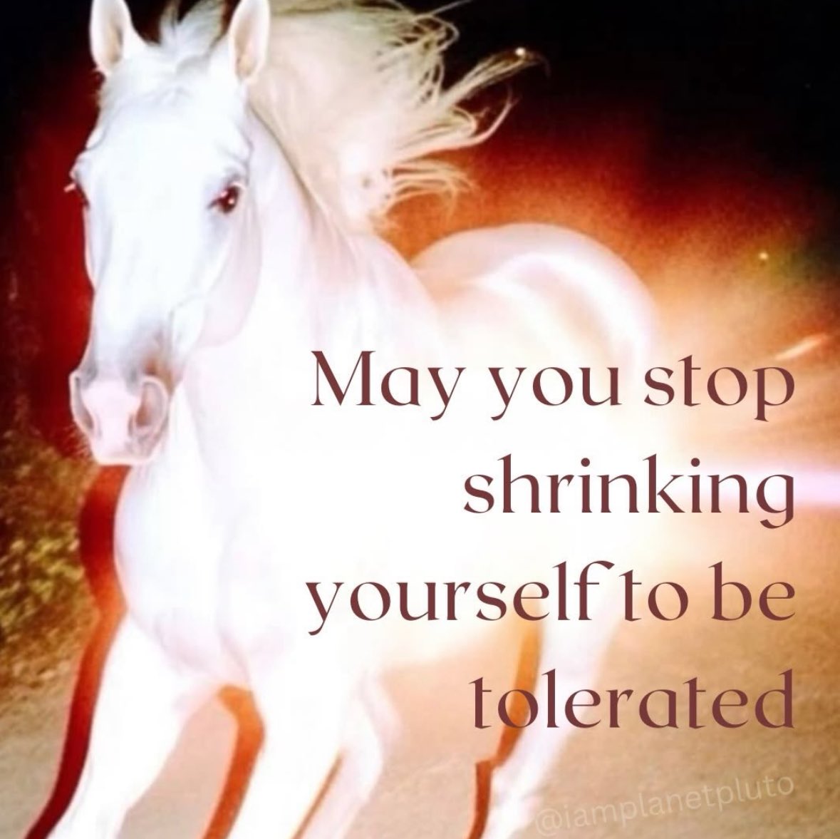 northstardoll's tweet photo. https://t.co/dkxwKcy5UK