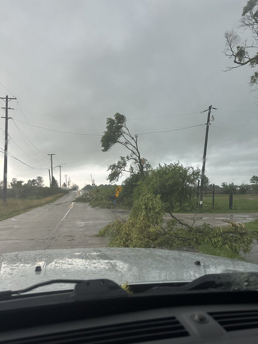 thomasjoeseph2's tweet photo. @NWSChicago unfortunately I don’t have specific locations but these are some images of tree damage in Beecher, IL. https://t.co/2cqxoY2CIT