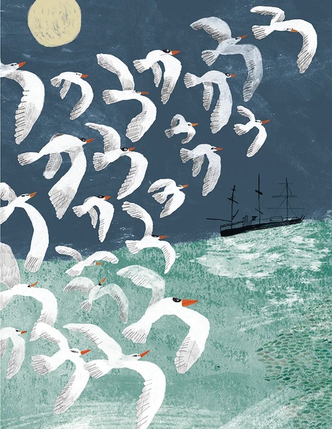 marysia_cc's tweet photo. Birds by Liz Rowland https://t.co/SSIm24hCAK
