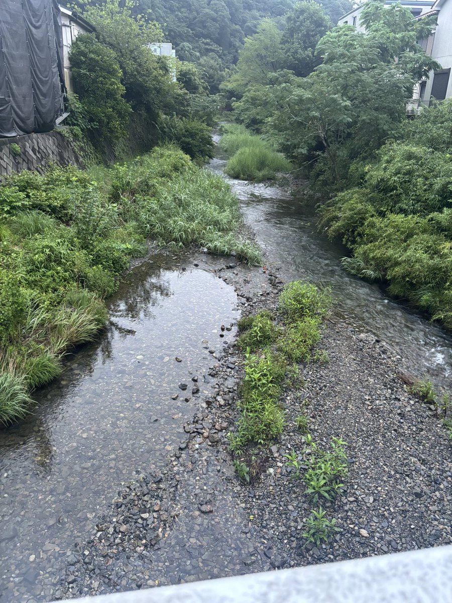 _18cg7's tweet photo. #空腹あさんぽマン
色々あって久々になった https://t.co/A32hQTCpVi