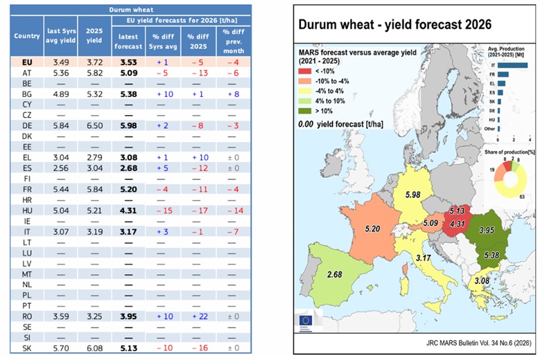spiga_dorata's tweet photo. In the July edition the JRC MARS bulletin revised the durum wheat avg yield in #EU 🇪🇺 to 3,53 t/ha 📉 down from 3,69 t/ha of last month 👇

➡️ Particularly relevant is the downward revision for #Italy 🇮🇹  at 3,17 t/ha 📉 down from 3,4 t/ha from last month (and down from 3,4 estimated by Coceral)

➡️ #France 🇫🇷 revised to 5,20 t/ha 📉 down from 5,44 t/ha of last month

➡️ Huge drops 📉 in #Hungary 🇭🇺 and #Slovakia 🇸🇰 

➡️ Partially offset by a strong increase 📈 in #Bulgaria 🇧🇬 and #Romania 🇷��

➡️ Avg yield for Greece 🇬🇷 is still reported well above last year and above 5 yrs avg, despite several local sources reported very disappoint yields during harvest ⚠️

➡️ Data for #Turkiye 🇹🇷 unchanged m/m at 3,79 t/ha 📈 a huge rebound both from last year and the 5 yrs avg **

** in absence of any official data on durum area seeded in Turkiye, they are actually translating it in a record bumper crop of about 4,75 million ton using the 5 years avg surface data ⚠️

#durumwheat #bledur #granoduro