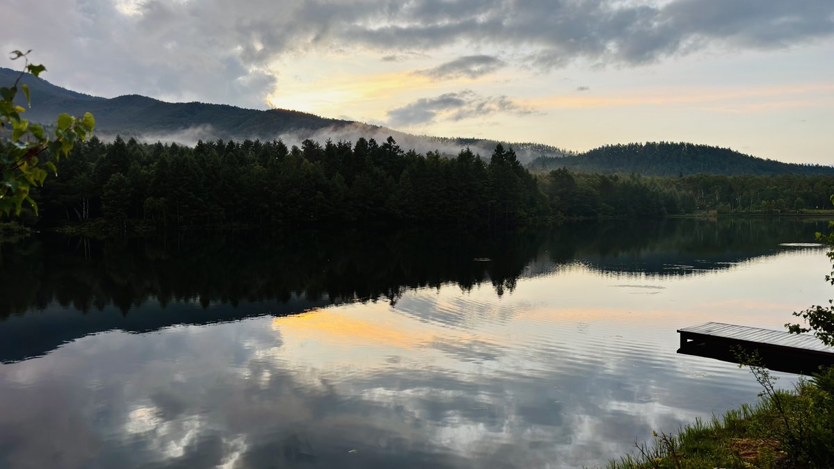 Nature Sound Effect : miduno tweet media