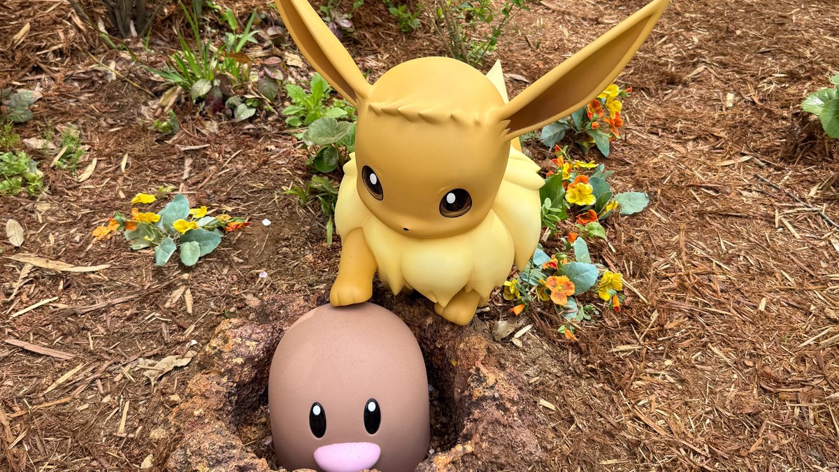 project_eevee's tweet photo. #ポケパークカントー の #ポケモンフォレスト🌳
いろんな #イーブイ たちに会えるよ✌️
どのイーブイもかわいくてかわいくて...
ずっとここにいたイーブイ😭💕
https://t.co/Myzl8P4cln
#Eevee #夏休み #イーブイたちと夏休み https://t.co/UkHS5Mw0U2