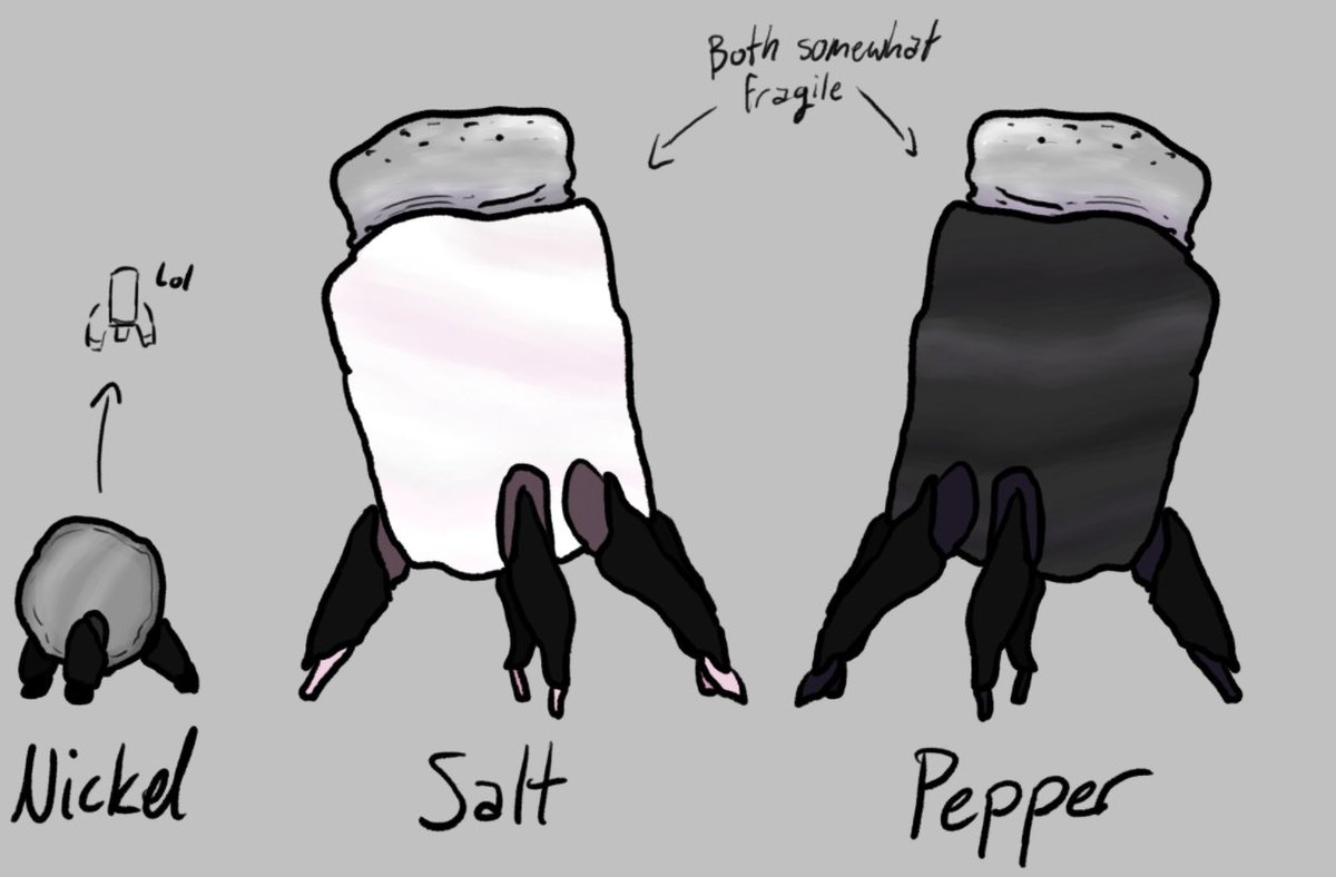 WitherDoesStuf's tweet photo. I didn't do a lick of research for this so forgive me for any inaccuracies or whatever

II season 1 cast if they were all rocks or something (1/2)
#inanimateinsanity #phm https://t.co/C2mnqTTJq3