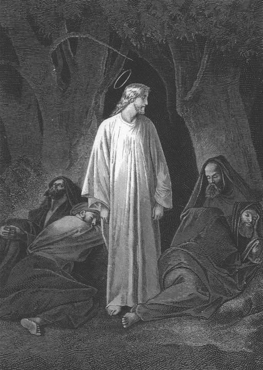 unseglar's tweet photo. "Aunque el Señor diga: "No he venido para juzgar al mundo", no debemos ser perezosos, ni abusar de la Misericordia de Dios, ni entregarnos al pecado: porque si en su primera venida no vino para juzgar, sino para perdonar, en su segunda venida vendrá para juzgar, pero no https://t.co/Ti942f2DUL