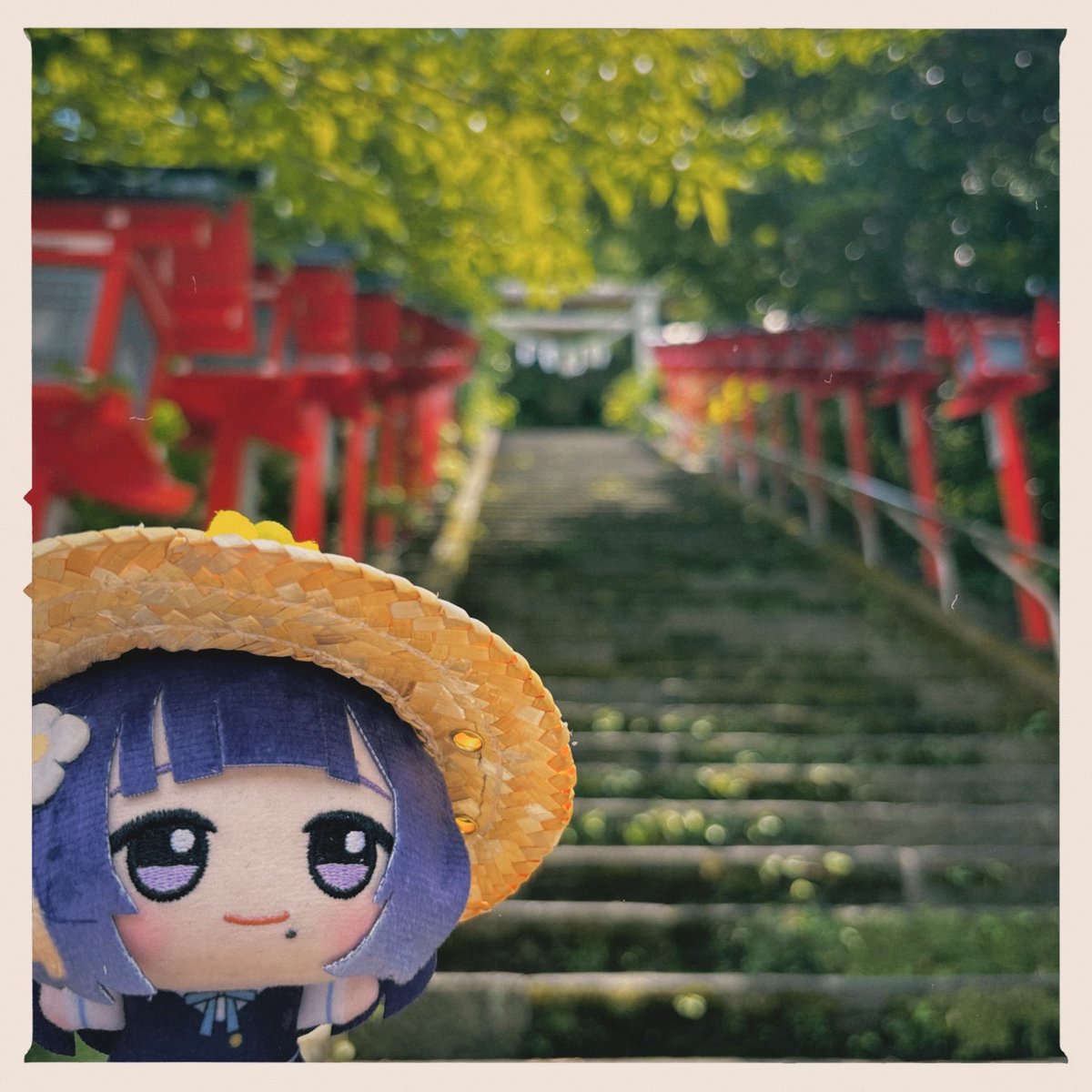 hatamisu_days's tweet photo. #初星学園ぬいぬい部 https://t.co/dwXo199kXH