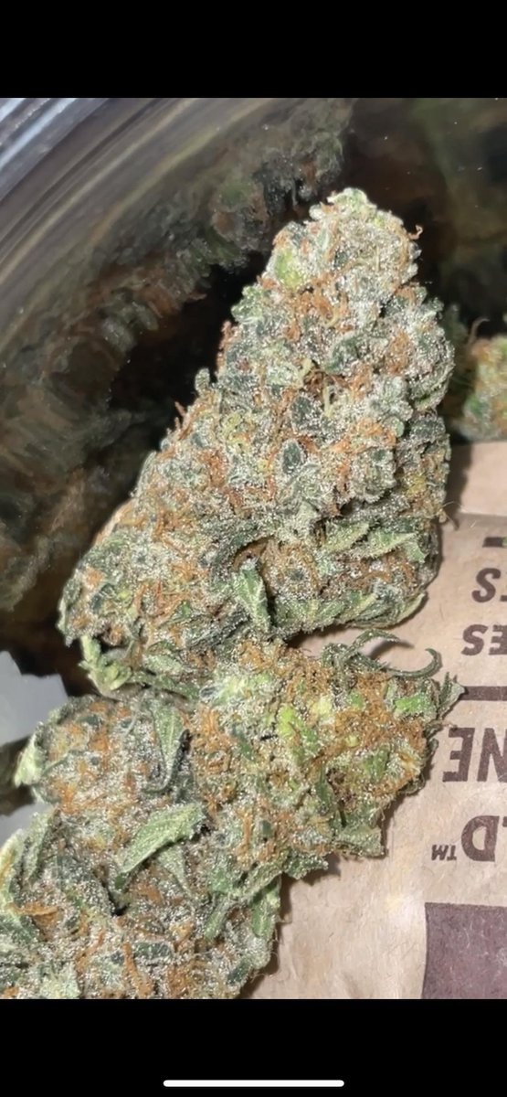 ghostarms85123's tweet photo. So gassy  ⛽️ ⛽️ 

🔗🔗🔗👇
https://t.co/4v5nPKbewv

Weed Charlotte, Weed Raleigh, Weed Durham, Weed Greensboro, Weed Winston-Salem, Weed Asheville, Weed Wilmington, Weed Fayetteville, Weed Cary, Weed Chapel Hill, Weed Boone, Weed Greenville, Weed Jacksonville, Weed High Point https://t.co/7jko4plyYa