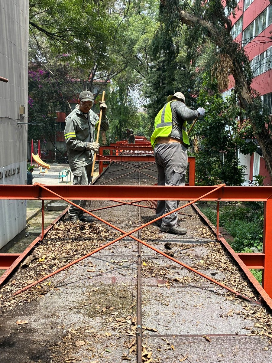 AlessandraRdlv's tweet photo. Seguimos trabajando en la limpieza de los andadores de Tlatelolco. Porque el espacio público se cuida y se respeta. https://t.co/5sBXV7bObh