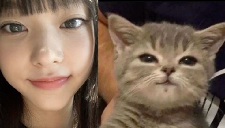 crewhaerin's tweet photo. Group manah yang mau menampung Adikmeng. ^ ______ <⭐️🌀🐈🍎 https://t.co/1q9iVLKxDi