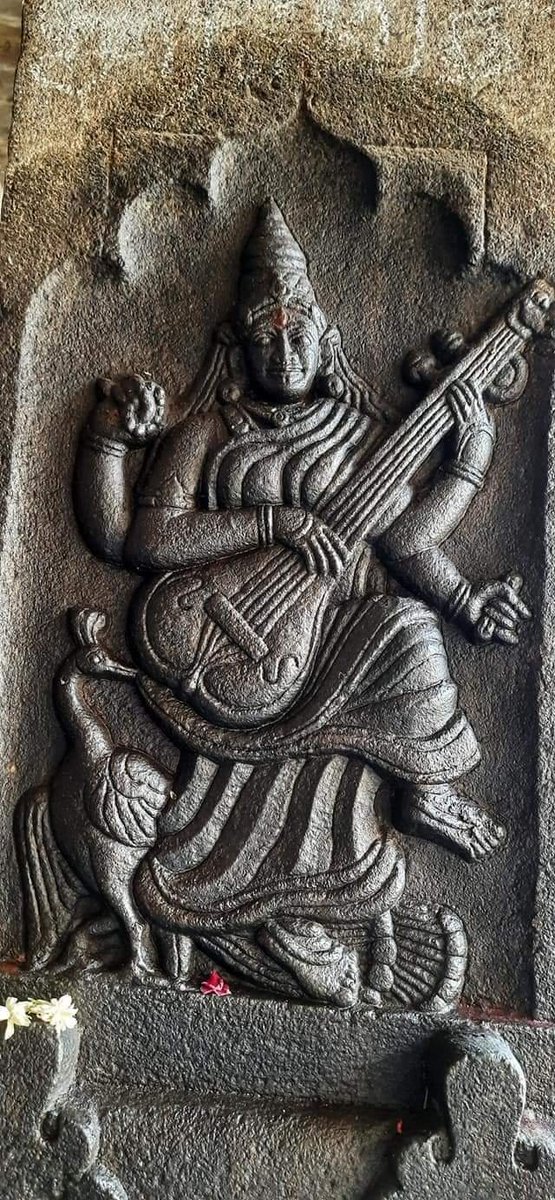 गर्वित tweet media