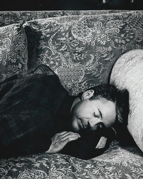 OfStarkHeir's tweet photo. Takes a nap on the office couch. https://t.co/sSxT4emSv8