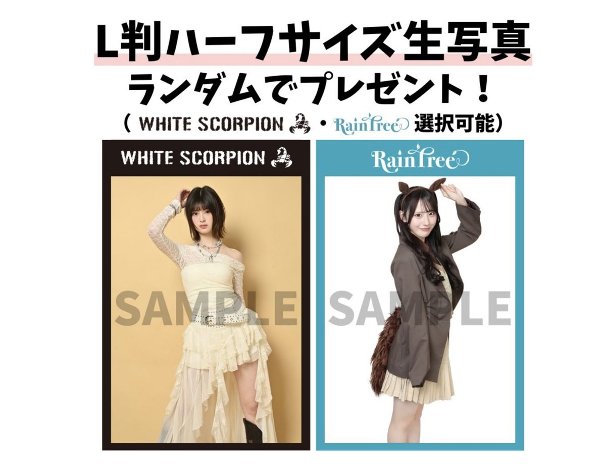RainTree レインツリー 橋本真希 NIDT L判ハーフサイズ生写真 Rain Tree (@RainTree_RT) / Highlights / X