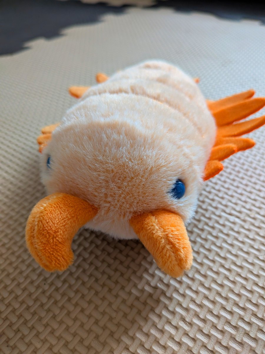 TYMunofficial's tweet photo. アノマロカリスかわいすぎるだろ😡😡😡😡😡 https://t.co/NeNooTKuZ9
