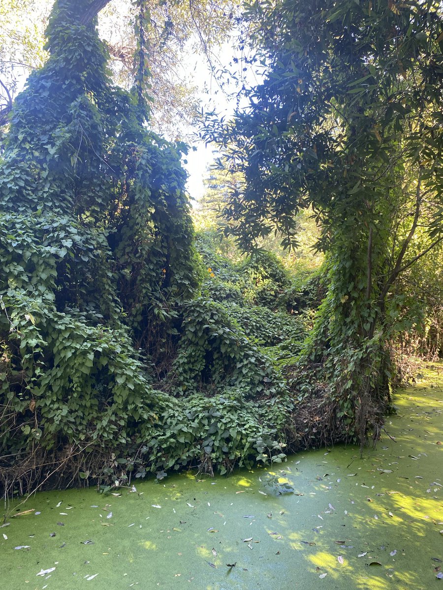 JaniBhad's tweet photo. Landscapes🌱 >>> https://t.co/EdMqq4xnjt