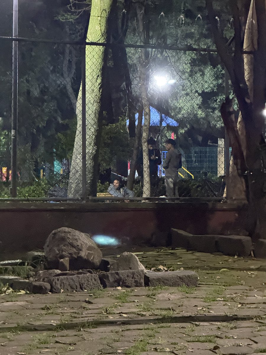 alevzz94's tweet photo. Esos indigentes llegaron al parque hace unos minutos y empezaron a drogarse. 

Parque Ramón López Velarde, sobre calle Orizaba entre M. Anza y Huatabampo, a un lado del espacio para perros 
@UCS_GCDMX @SSC_CDMX @AlcCuauhtemocMx https://t.co/xNdOcNJAkd