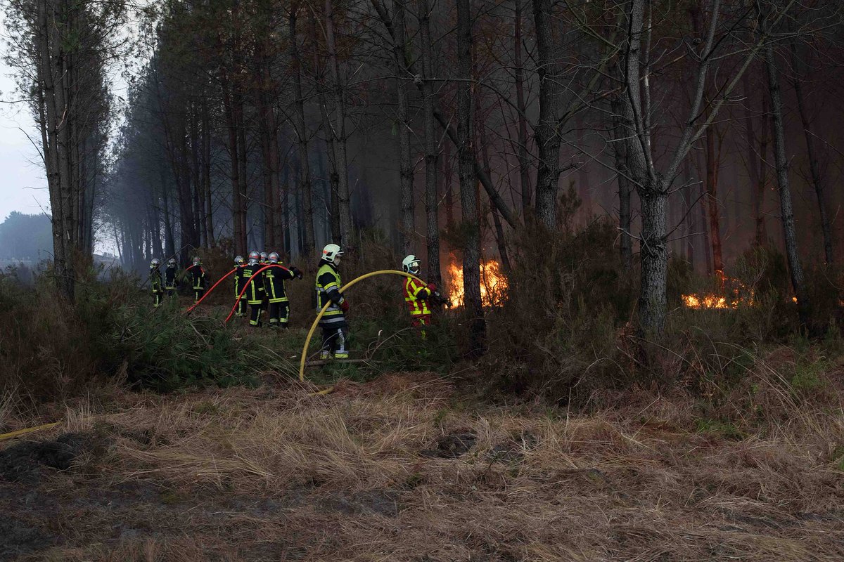 CGTNOfficial's tweet photo. #LATEST developments on wild fire in Europe:  

- French Interior Minister Laurent Nunez said that some 115,000 hectares (284,000 acres) have burned in wildfires in France since the start of the year.   

- Authorities in France's Gironde region said Monday they were banning holiday camps, including Scouts' trips with overnight stays and holiday camps for people with disabilities, citing "exceptional circumstances arising from the ongoing wildfires," AFP reported.  

- Spain's Meteorological agency AEMET said Monday that a new heatwave would begin on Wednesday, lasting until the end of the week, warning "the fire danger level will continue to rise to extreme levels."  

- Portugal's civil protection services said several fires broke out in northern and central Portugal, with over 1,000 firefighters and other professionals fighting the flames, supported by around 20 planes and helicopters, AFP reported. (Photo via VCG)
