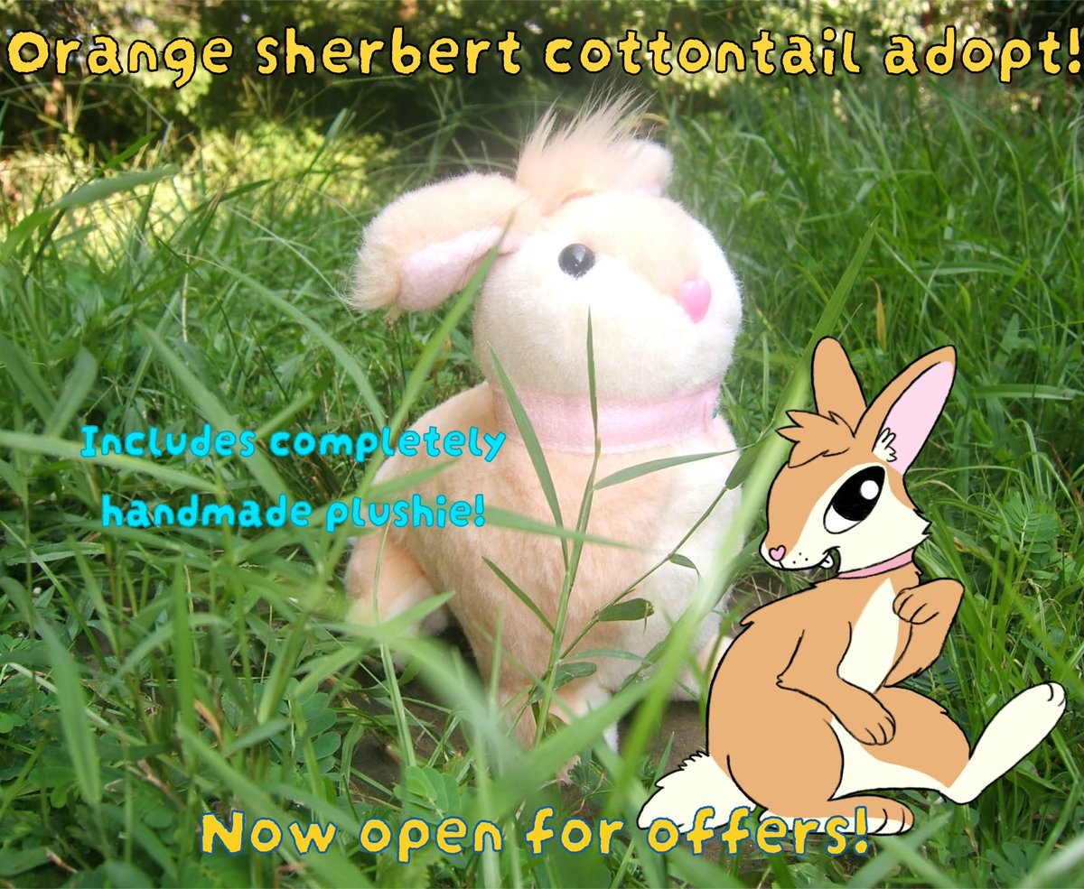 noreosek's tweet photo. Cottontail Adopt now open for Offers
 
Comes with a th, buyer chooses name, pronouns, gender

Looking at offers around $30+, will look at art, physical stuff, but you will pay shipping

Comment any offers, do not dm. I do not see dms. https://t.co/QXu0ElkMve