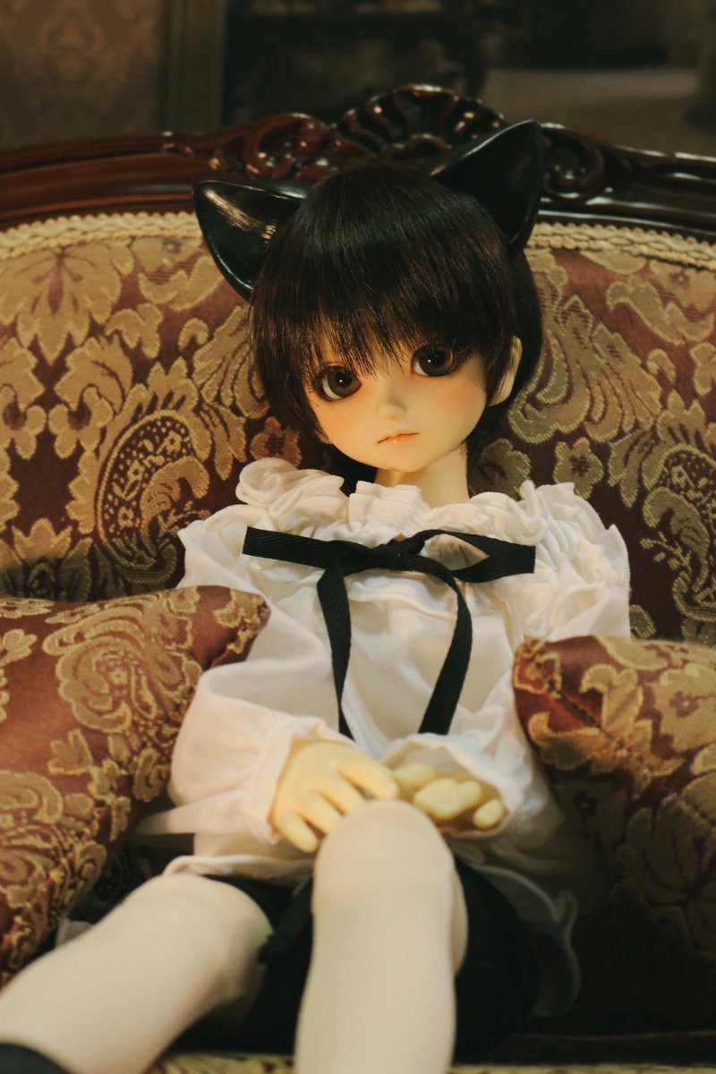 ari0410ichi's tweet photo. 気まぐれ猫ちゃん🐈‍⬛ https://t.co/H6wwAaikJC