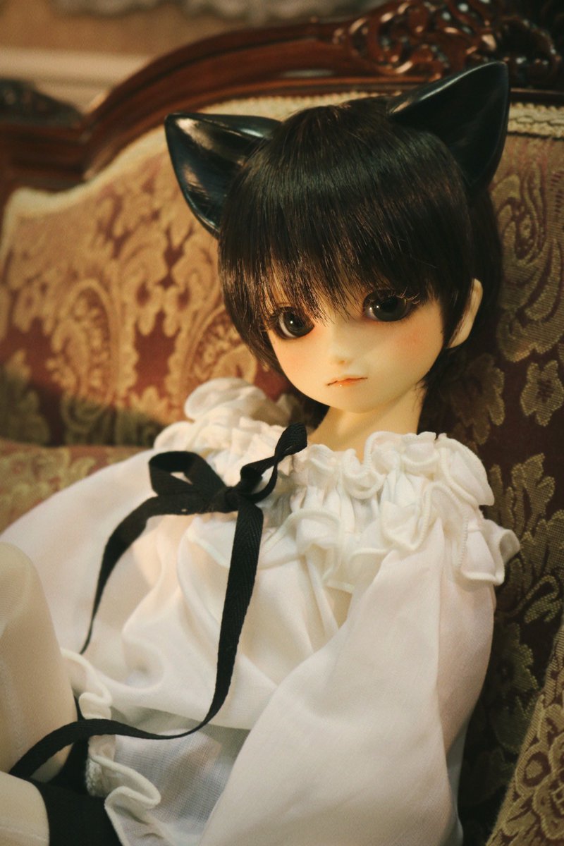 ari0410ichi's tweet photo. 気まぐれ猫ちゃん🐈‍⬛ https://t.co/H6wwAaikJC