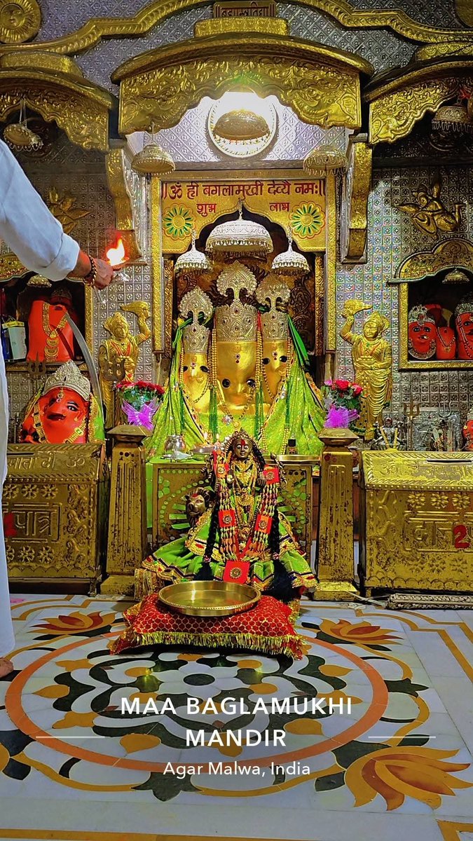 yajnshri's tweet photo. Jai maa bagalamukhi maii 💛 https://t.co/C5jIifEo1p