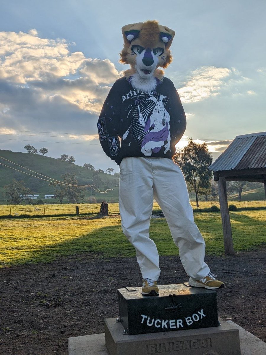 WattleBarks's tweet photo. The tarot cards said I had to stop at the Dog on a Tucker Box 🐕

Featuring @RottedGoat very cool new shirt design. https://t.co/VjSOM6LzS1