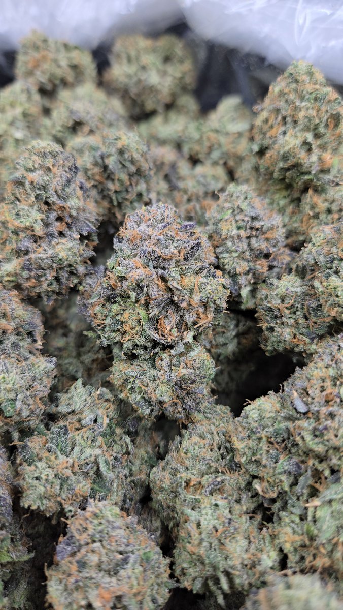OGX_DELIVERY's tweet photo. Red Zikigai 🌈🍬🍃💣💥💨

🧬 (Zkittlez x Rainbow Belts 2.0)

👨‍🌾 Zbra Brand

🌐 https://t.co/CqlGKlbgZN

#california #socal #orangecounty #huntingtonbeach #anahiem #thc
#stonerfam #420community #indica #cannabis #weed #dank #stoner #ogx #ogxpress #ogexpress #trending https://t.co/9gnuu92oor