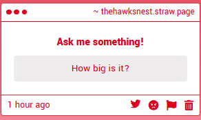 Themoorhunter's tweet photo. Nest has plenty of room for mate. https://t.co/Yix35HtpaS
