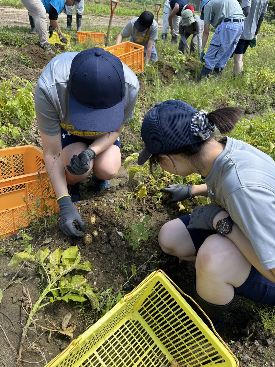 sendai_mirai's tweet photo. 🌻夏休みスタート🌻
4月に入学・進級をしてから3ヶ月...
季節はあっという間に夏になり、毎日暑い日が続くようになりましたね。
いよいよ夏休みスタートです※
これまで頑張った期間の休憩や様々な事に挑戦できる機会です！
約1ヶ月のお休みを楽しく過ごしてくださいね」 https://t.co/kukDma53N8