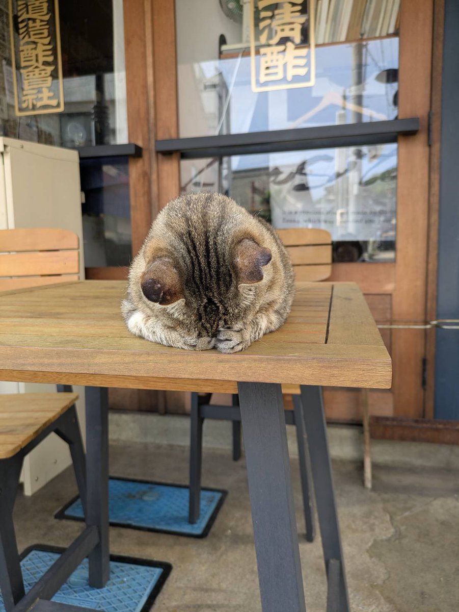 FukunaoFruits's tweet photo. 何か事情がありそうだ。 https://t.co/Xi356006kw