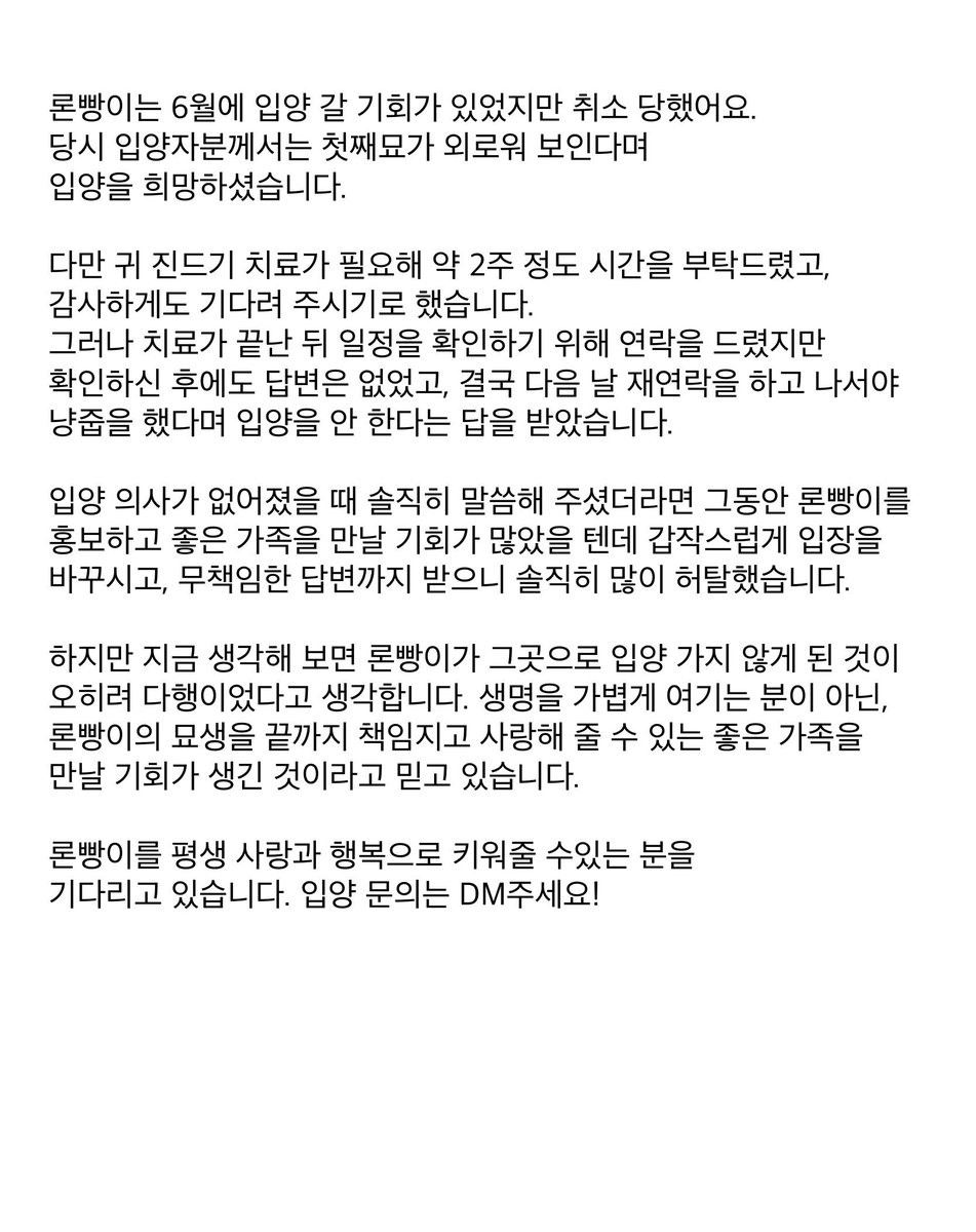 Ronbbang00's tweet photo. 6월 11일 론빵이를 구조해 임보하면서 입양 취소도 당해보고 홍보도 하면서 어느덧 두달 가까이 시간이 흘렀네요.

사람을 너무 좋아하는 론빵이를 위해 더 늦기 전에 하루라도 빨리 좋은 가족을 찾아주고 싶어요.

론빵이의 묘생을 평생 책임지고 사랑해줄 분이 계시다면 DM주세요!!

#가족찾는_론빵 https://t.co/Awrc75yub8