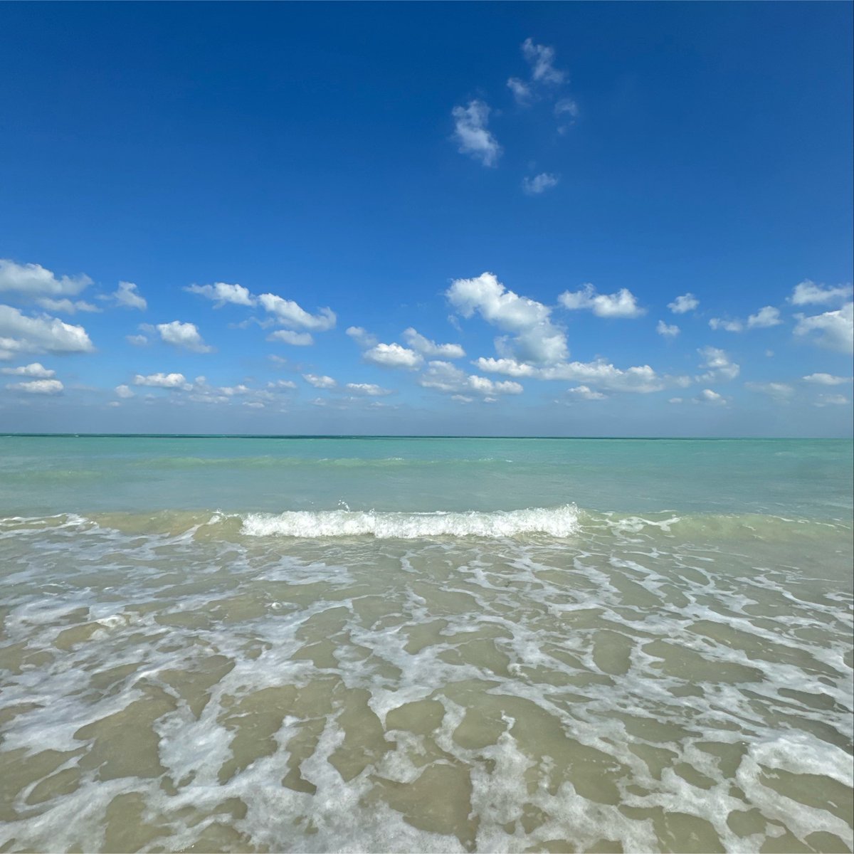 Alibrahimnn's tweet photo. Free therapy 🌊 https://t.co/qaBAwWS3IF
