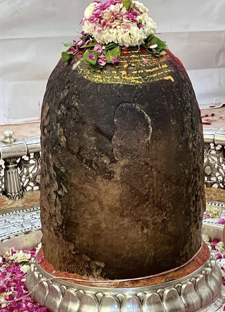 raani_purohit's tweet photo. शिव शक्ति नाम है बड़े कृपालु है जग के भोले हैं जीवन के कारण हर महाकालेश्वर ज्योतिर्लिंग भस्म आरती श्रृंगार अद्भुत दर्शन https://t.co/5p7vUQILom