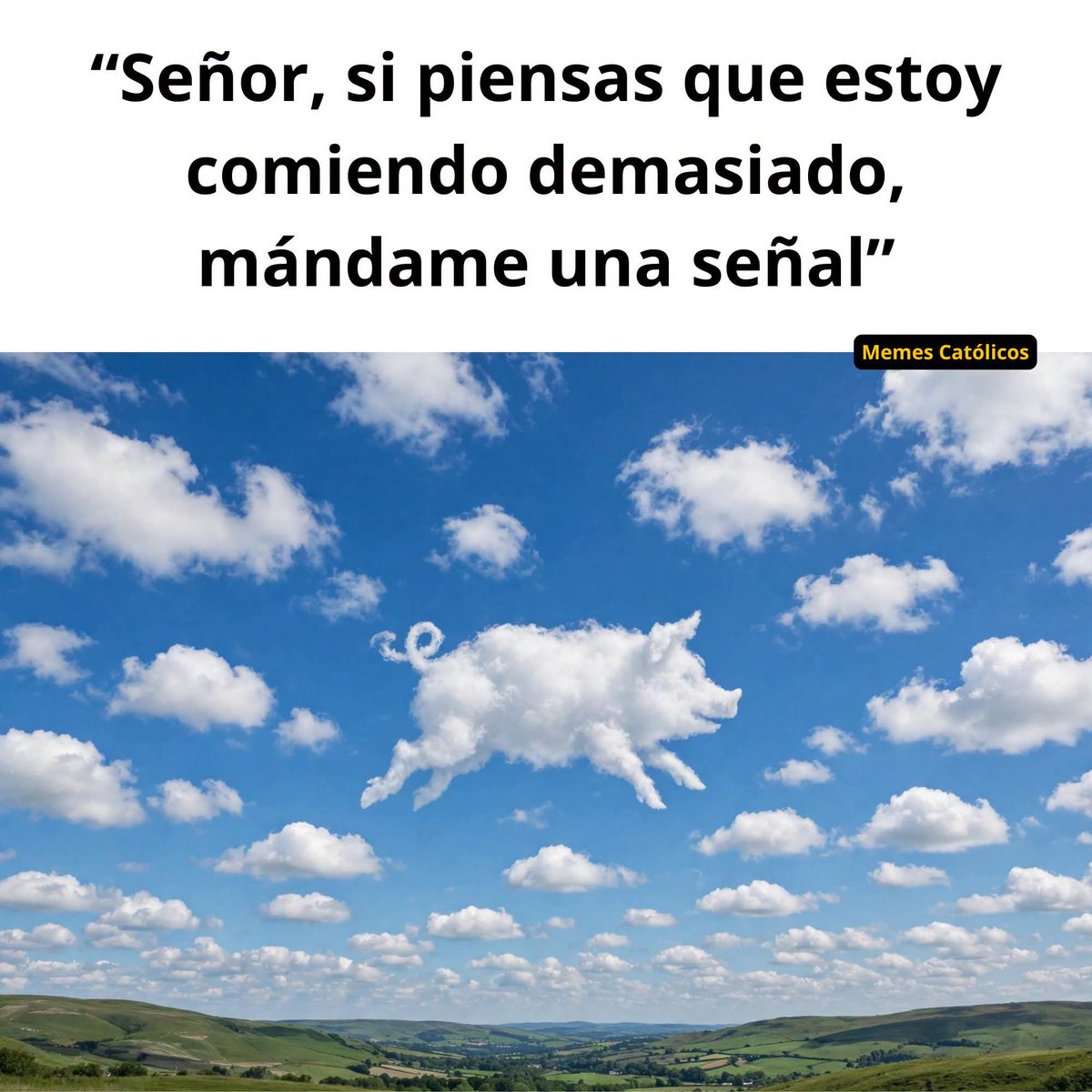 Juan Carlos. tweet media