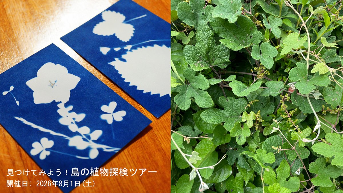 NotojimaGlass's tweet photo. 「見つけてみよう！島の植物探検ツアー」7月29日(水) に受付終了します

能登島に自生する植物について学びながら、採取した植物で太陽の光でプリントする #サイアノタイプ を体験しよう。開催時間を予定より早めて開催します。https://t.co/URkT58wI4l
#ガラス美術館 #のとじま #ときめく #植物探検/ https://t.co/vb12oH2SUe