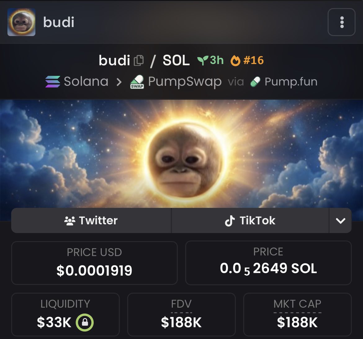 y0lloo's tweet photo. $budi is flying 

w header 

ape the ape 

Gihvutvj8wvAFLrazDgoHewwfy75ozjv3bGGdr87pump https://t.co/mPPAPWPOcR