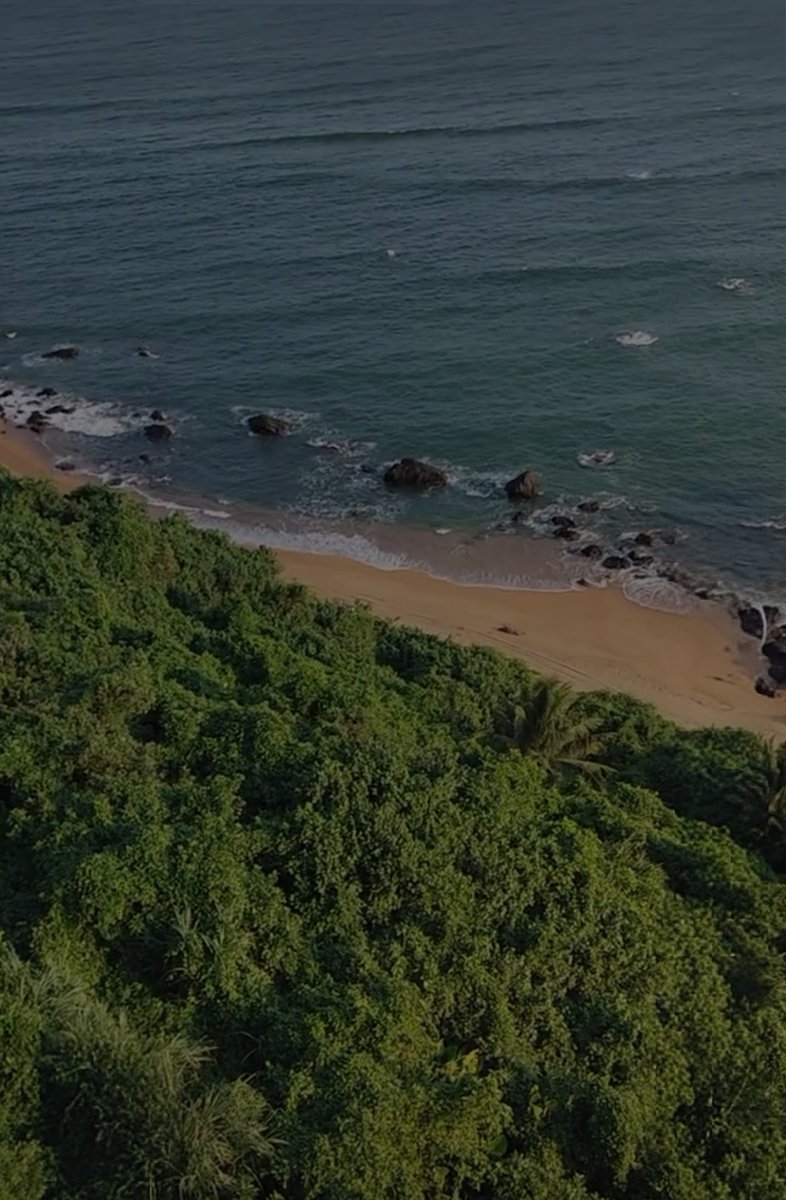 william_mo11216's tweet photo. Just wrapped up a 3-hour coastal drive, sun-kissed views and fresh sea air hit different. https://t.co/2E1kQnroIv