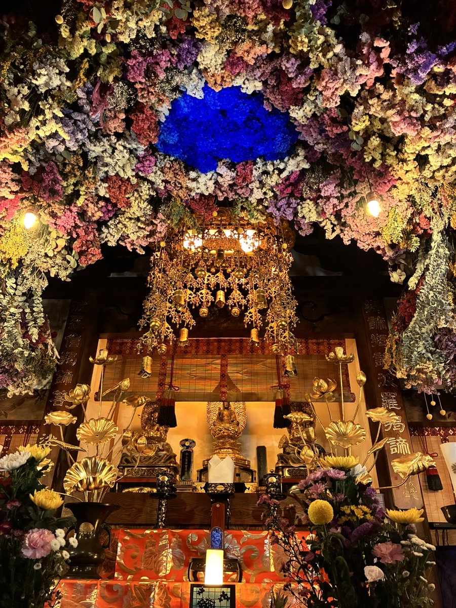 SushiToJun's tweet photo. ラジオ中に話した📍北浦山 雲昌寺(秋田犬男鹿市)本堂の立体天井絵！！あじさい寺として有名💐
天井一面がお花で彩られてます！！超綺麗でした✨ https://t.co/Lp6xjzLoeo