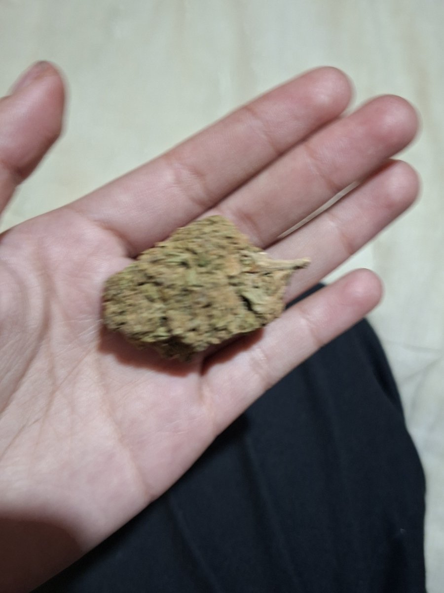lom4ra's tweet photo. miren lo k me regalo ki dilerrr #weedtwt #drugtwt https://t.co/4HTj4NSCM8