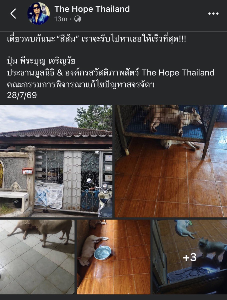KhaohomSiri's tweet photo. UPDATE 28.07 

วันนี้เริ่มภารกิจหาน้องสีส้มแต่เช้าเลย ขอให้เจอน้องวันนี้ ส่งกำลังใจให้ทีมค้นหา🙏🏻

#แมวหายบนรถไฟ #ชุมพร #ส้มส้ม #แมวหาย https://t.co/qky7zEcYZ1