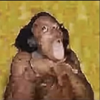 DefoNotStriker's tweet photo. CAN YALL FUCKIN WAIT BEFORE GIVING ME 9 ADS EVERY TIME 

IM BROKE NIGGA DAMN https://t.co/7RzD88QmFJ